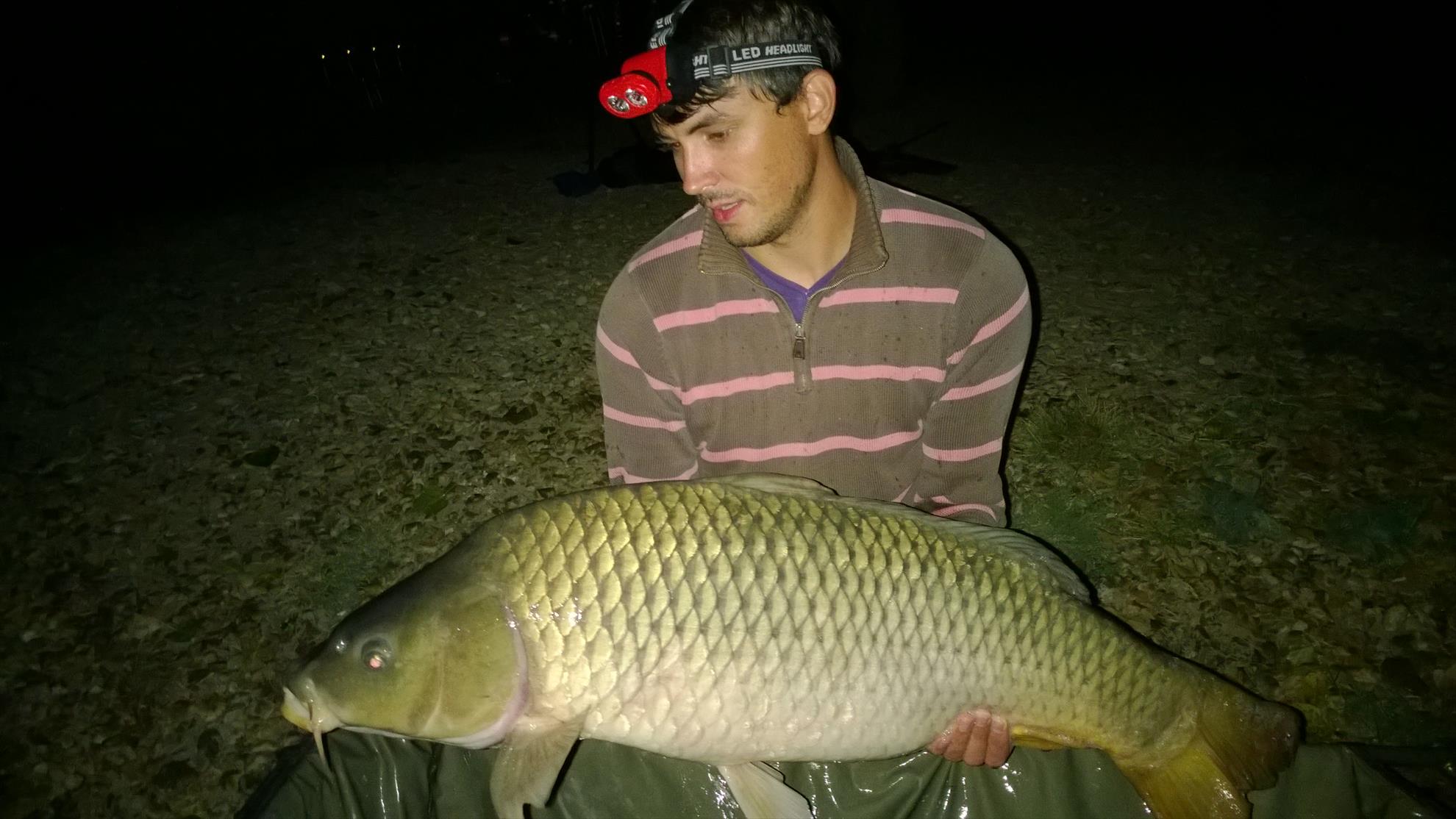 Hermes Peris 12 - 14 septembrie 2014 - wp20140914010.jpg